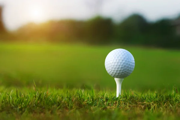 Golf sahasında güzel bir golf sahasında sabah güneşiyle. İlk kısa sürede golfe hazır. Dünyanın dört bir yanındaki insanlar tatillerde sağlık için oynuyorlar..