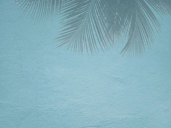 Shadow Palmunlehtiä Sinisellä Sementtiseinällä Tausta Vintage Tyyli Tilaa Kirjoittaa Viestin — kuvapankkivalokuva