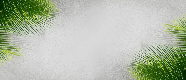 Пальмовые Листья Фоне Цементной Стены Винтажном Стиле Пространство Написать Сообщение — стоковое фото
