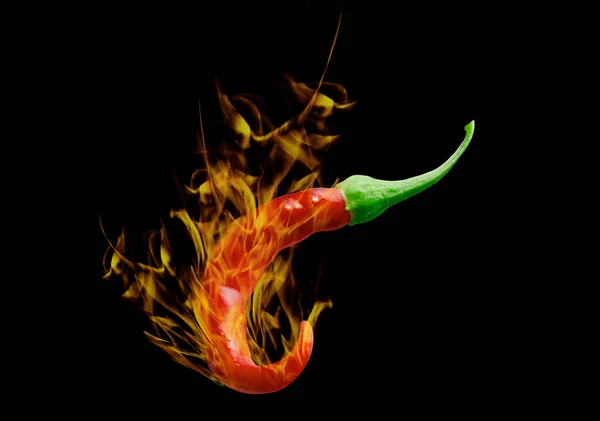 グラフィックデザインのために黒の背景に隔離された燃える炎と赤唐辛子 食物とハーブの両方である植物 辛いタイ料理に欠かせないスパイスや食材 — ストック写真