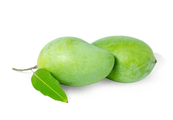 Verse Groene Mango Bladeren Geïsoleerd Witte Achtergrond Met Clipping Paden — Stockfoto