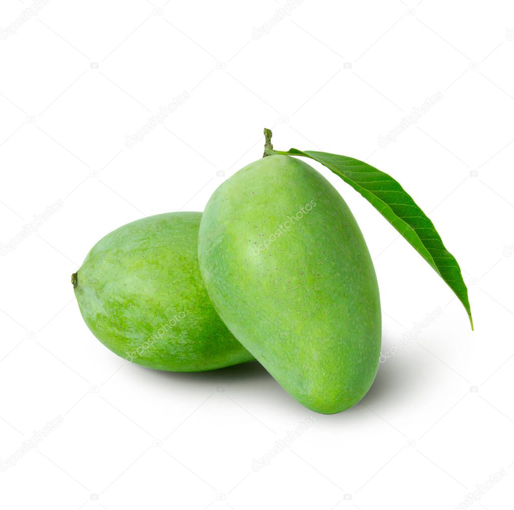Fresh green mango and leaves isolated on white background with clipping paths for graphic design. Tropical organic fruit that is sour and sweet, high in vitamin C.