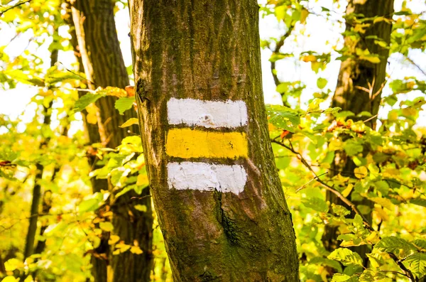 Segnavia con strisce bianche e gialle dipinte su un tronco d'albero nella foresta. Segnale informativo che indica la direzione per gli escursionisti su un sentiero escursionistico. Trail blazing, modo di marcatura per i turisti — Foto Stock