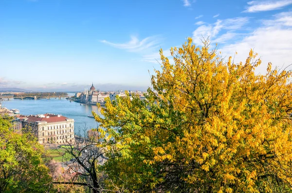 Дивовижний краєвид Будапешта (Угорщина) з осіннім деревом на передньому плані. Угорська будівля парламенту, Оршагхаз, на задньому плані на іншому боці Дунаю. Чудові міста — стокове фото