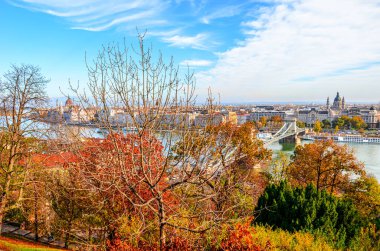 Arka planda Macaristan, Budapeşte 'nin muhteşem şehir manzarasıyla ön planda ağaçlar devrildi. Tuna nehri olan Macar Parlamento Binası. Sonbahar ağacı dalları ve yaprakları. Başkent