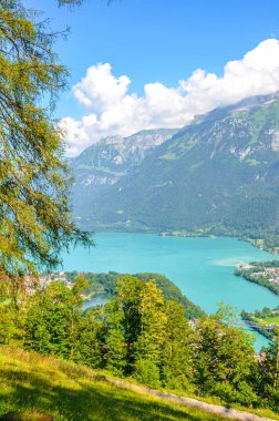 Interlaken, Brienz, İsviçre 'deki Turkuaz Gölü Harder Kulm' a giden yürüyüş yolunun fotoğrafını çekti. İnanılmaz İsviçre manzarası. Vadideki yeşil tepeler ve Alp Gölü. Yaz Alp manzaraları