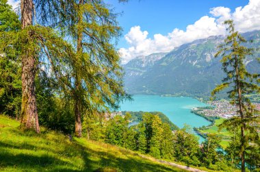 Interlaken, İsviçre 'deki Brienz Gölü' nde Harder Kulm 'a giden yürüyüş yolunun fotoğrafları çekildi. Güzel İsviçre manzarası. Vadideki yeşil tepeler ve Alp Gölü. Yaz Alp manzaraları