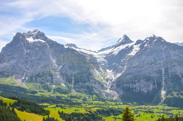 Paisaje alpino de verano alrededor del pueblo de Grindelwald en Suiza. Tomado en el sendero que conduce al lago Bachalpsee. Pueblo en el valle alpino rodeado de bosques y montañas nevadas — Foto de Stock