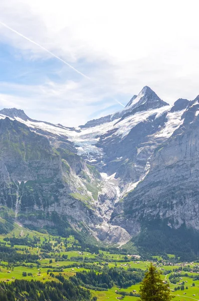 Paisaje alpino de verano sobre Grindelwald en Suiza. Tomado en el sendero que conduce al lago Bachalpsee. Pequeña ciudad en el valle alpino rodeada de bosques y montañas nevadas. Alpes suizos — Foto de Stock