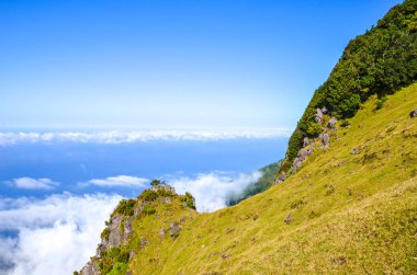 Portekiz 'in Madeira Adası Fanal' daki bulutların üstündeki tepenin tepesinden görüntüyü al. Eski defne ağaçları, Laurisilva, bir tepede. Atlas Okyanusu 'nun yukarısındaki Laurel ormanı dik bir kayanın üzerinde. Mavi Atlantik Okyanusu