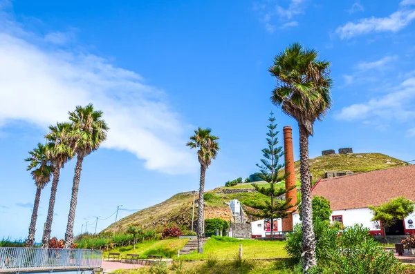 Porto da Cruz, Madeira, Portugal - 24 de setembro de 2019: Palmeiras e colina verde na aldeia portuguesa. Edifício branco da Casa do Rum, uma fábrica de rum e um museu em segundo plano — Fotografia de Stock