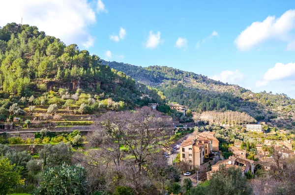 Houses on the green hill in the coastal village Deia in Mallorca, Spain. Traditional buildings in terraces on the slope surrounded by green trees. Spanish tourist destination — Stock Photo, Image