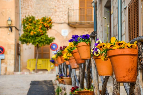 Flores pansy coloridas em vasos de flores como uma decoração de rua em espanhol Valldemossa, Maiorca. Foco seletivo, fundo turvo. Amarelo e violeta flor de cachorro — Fotografia de Stock