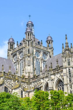 Hertogenbosch, Kuzey Brabant, Hollanda 'daki St. John Katedrali. Hollanda Gotik mimarisi, Hollanda 'nın en büyük Katolik kilisesi. Şehir merkezinin hakimi.