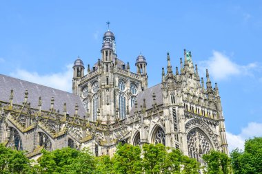 Hertogenbosch, Kuzey Brabant, Hollanda 'daki St. John Katedrali. Hollanda Gotik mimarisi, Hollanda 'nın en büyük Katolik kilisesi. Şehir merkezinin hakimi. Mavi gökyüzü, güneşli gün