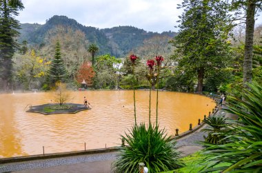 Furnas, Azores, Portekiz - 13 Ocak 2020: Terra Nostra Garden 'da sıcak kaynak demir su termal havuzu. İnsanlar volkanik bir kaynaktan gelen kahverengi renkli suda yüzüyorlar. Portekiz turizm beldesi