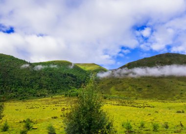Bir alan üzerinde buğday bașlıkları dağlar kırsal alanda bir arka plan üzerinde
