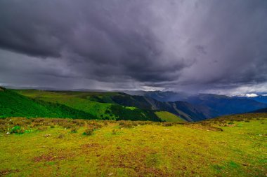 Çin İç Moğolistan doğal otlak