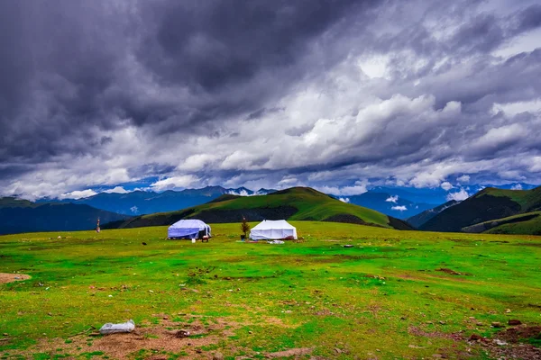 China Inner Mongolia natural grassland — Stock Photo, Image