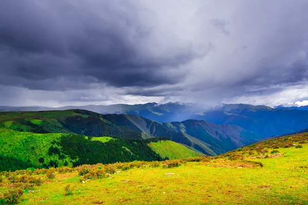 Cina Prateria naturale della Mongolia Interna — Foto Stock