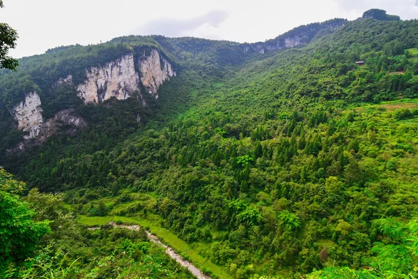 Wulong Karst Longshui 협곡 Difeng, Wulong Karst 세계 자연 유산의 중요 한 구성 부분에서에서 석회암 바위. 중국 — 스톡 사진