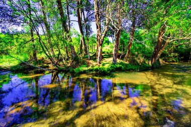 güzel tropikal yağmur ormanları ve derin orman, Phu Kradueng Milli Parkı, Tayland akışında