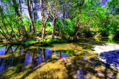 güzel tropikal yağmur ormanları ve derin orman, Phu Kradueng Milli Parkı, Tayland akışında
