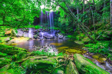 güzel tropikal yağmur ormanları şelale derin orman, Phu Kradueng Milli Parkı, Tayland