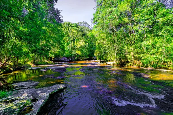 Beautiful tropical rainforest and stream in deep forest, Phu Kradueng National Park, Thailand — Stock Photo, Image