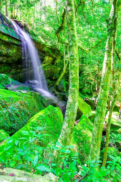 Beautiful tropical rainforest waterfall in deep forest, Phu Kradueng National Park, Thailand — Stock Photo, Image