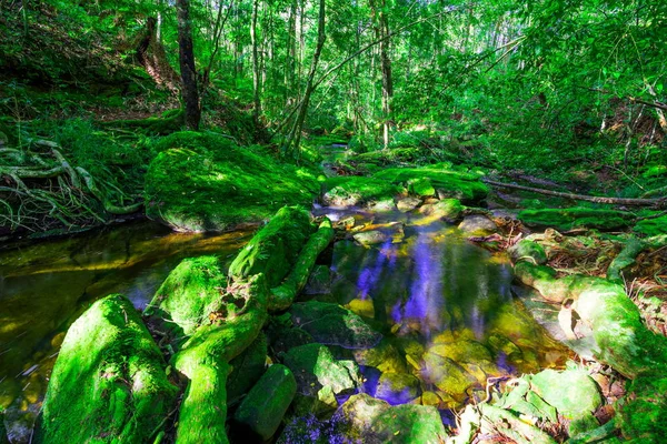 Beautiful tropical rainforest waterfall in deep forest, Phu Kradueng National Park, Thailand — Stock Photo, Image