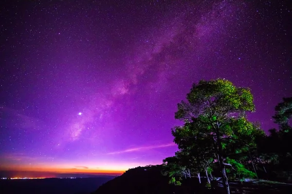 天の川といくつかの木 — ストック写真