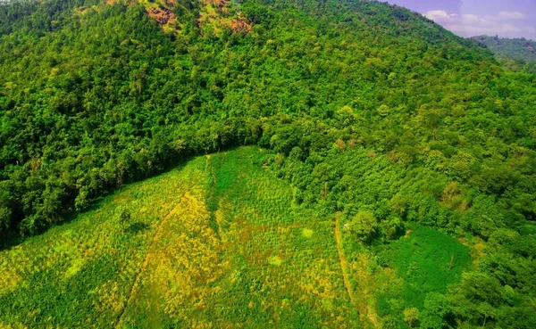タイの虹で森林破壊｜Airial View — ストック写真