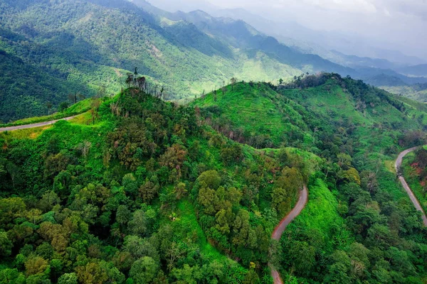 Vista aérea sobre el camino de montaña pasando por el paisaje forestal —  Fotos de Stock