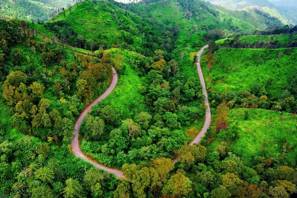 Aerial view over mountain road going through forest landscape — Stock Photo, Image