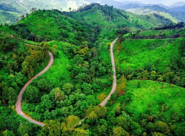 Luftaufnahme über Bergstraße durch Waldlandschaft — Stockfoto