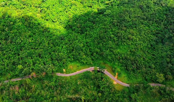 Vista aérea sobre el camino de montaña pasando por el paisaje forestal —  Fotos de Stock