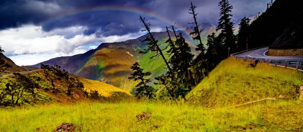 Rainbow over forest Panoramic view Cloudy landscape — Stock Photo, Image