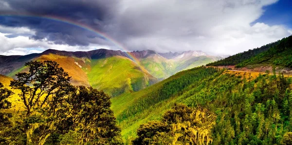 Rainbow over forest Panoramic view Cloudy landscape