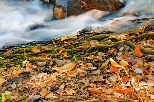 Fall colored leaf resting on a moss covered rock with water flowing around it — Stock Photo, Image