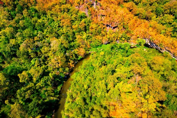 Aerial view of autumn forest — Stock Photo, Image