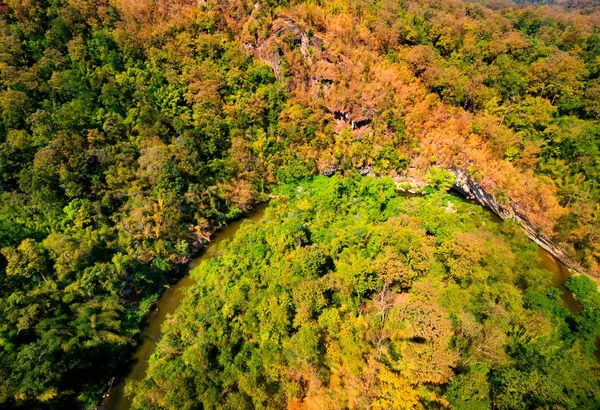 Aerial view of autumn forest — Stock Photo, Image