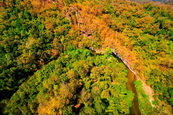 Aerial view of autumn forest — Stock Photo, Image