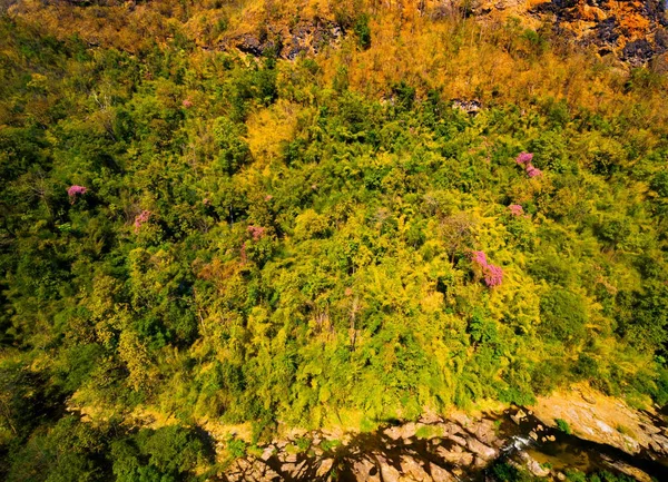 Letecký pohled na podzimní les — Stock fotografie