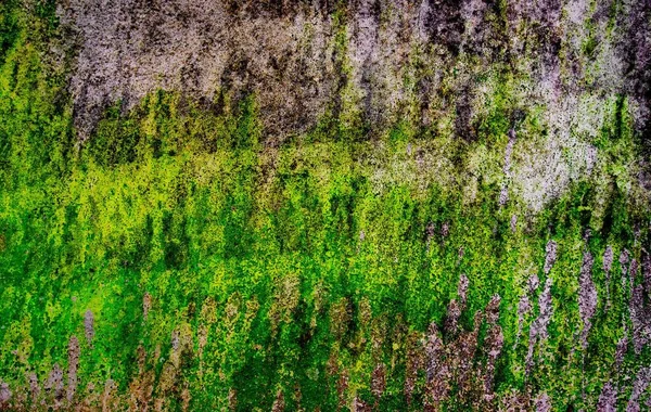 Closeup eski yıpranmış Peeling duvar doku — Stok fotoğraf