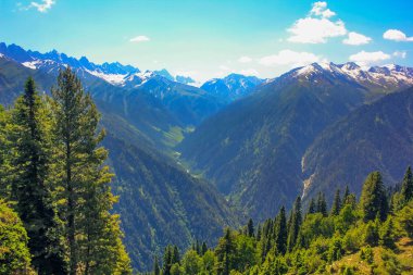 dağ Vadisi kaplı çam ormanı