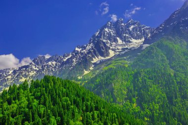 Sonamarg, Jammu ve Kashmir 'in karlı manzaralı güzel dağ manzarası, Hindistan