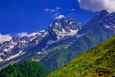 Sonamarg, Jammu ve Kashmir 'in karlı manzaralı güzel dağ manzarası, Hindistan
