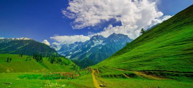 Sonamarg, Jammu ve Kashmir 'in karlı manzaralı güzel dağ manzarası, Hindistan