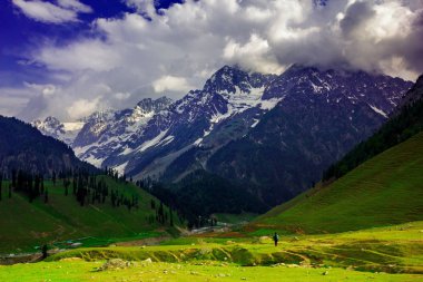 Sonamarg, Jammu ve Kashmir 'in karlı manzaralı güzel dağ manzarası, Hindistan